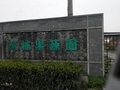 -阿林有机农庄