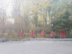 -北极寺公园