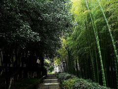 -上海市保健医疗中心