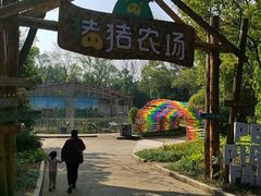 -柳州市动物园