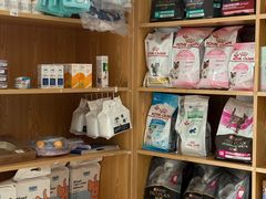 -宠颐生宠物医院·异宠猫科内科·诊疗中心宠巢店