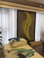 -青青一生美皮肤管理