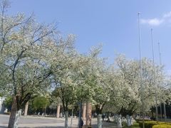 -为民烧烤吧.自贡爆炒菜.成都烧烤(收录20年好店)