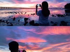 -宝安西湾红树林湿地公园