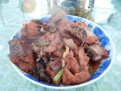 -谭家菜农夫山庄