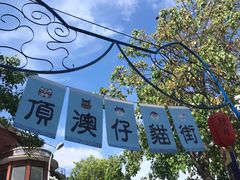 -猫咪博物馆(顶澳仔猫街店)