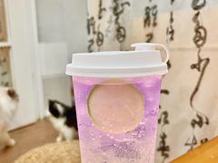 -楼上猫咖(罗湖店)