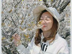 -能量小象·感统·专注力·语言(崂山校区)