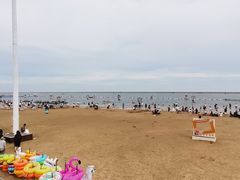 -碧海金沙