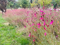 -汉长安城未央宫国家考古遗址公园