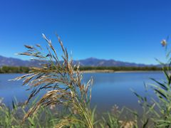 -野鸭湖国家湿地公园
