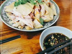 -九斤黄三黄鸡专卖店