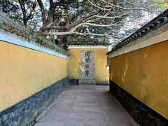 -普陀山慧济禅寺