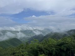 -莫干山风景区