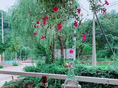 -Local泰莲庭(虹鳟鱼店)