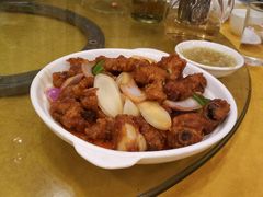 -鸿达渔港