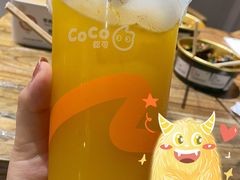 芒果绿茶-CoCo都可(印象城店)