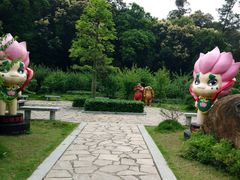 -广州市流溪河国家森林公园