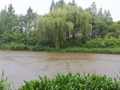-新江湾城公园