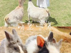 -栖露营camping·天幕烧烤·团建拓展·采摘营地