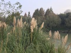 -中国湿地博物馆