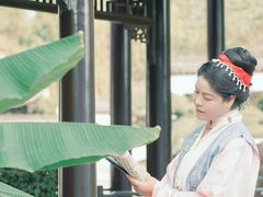 -盆景园(扬州大运河文化旅游度假区)