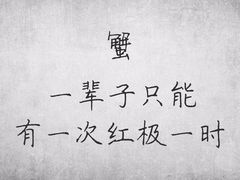 -上海市第七人民医院