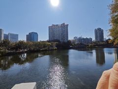 -四海公园(南山区)