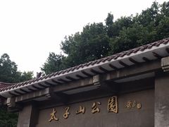 -太子山公园(园东路)