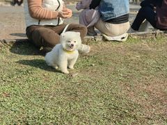 -白鹭湾湿地公园