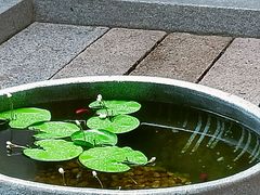 -广州西关永庆坊旅游区