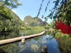-靖西鹅泉风景区