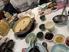 -洪氏嗨捞·猪肚鸡火锅(阳光天地店)