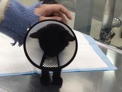 -申普宠物医院·眼科·心内科·影像科(普陀分院)