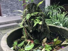 -兵哥豌豆面(青华店)