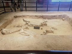 -洛阳周王城天子驾六博物馆