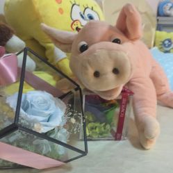 -Nuzzle(静安大悦城店)