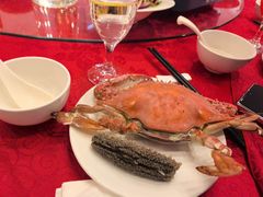 -皇家园林酒店