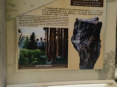 -延庆地质公园博物馆