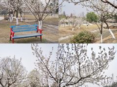 -国际非物质文化遗产博览园