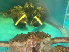 水产区-東海海鲜酒家(中信广场店)