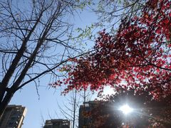 -木塔寺遗址生态公园