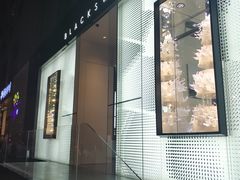 -BLACKSWAN黑天鹅(环球店)