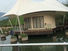 -帐篷客·溪龙茶谷度假酒店