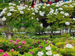 -莲花池公园