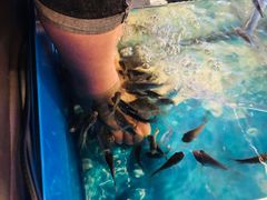 -泰国鱼疗足疗馆