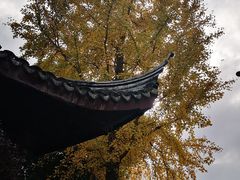 -檀园