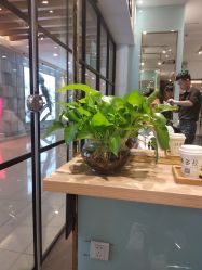 -东方麒麟·潘多拉SALON