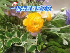 -赛百味SUBWAY(马台街店)