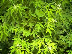 -白水寺森林公园